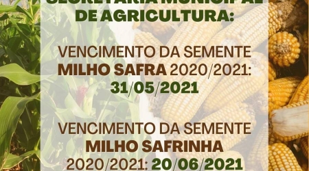 Vencimentos das sementes de milho safra e safrinha 2020/2021