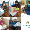 Escola Municipal São Francisco de Borja participa de projeto promovido pela Cresol.