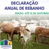 Declaração Anual de Rebanho