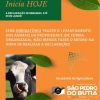 DECLARAÇÃO ANUAL DE REBANHO