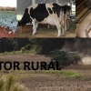 Revisão do Bloco de Produtor Rural