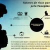 TOXOPLASMOSE: GRÁVIDAS NÃO PRECISAM SE DESFAZER DE SEUS GATOS