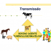 Tuberculose Bovina