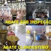 ABATE DE CARNE INSPECIONADA X ABATE DE CARNE CLANDESTINA