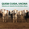 VACINAÇÃO CONTRA FEBRE AFTOSA – 2ª ETAPA