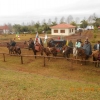 Recepção da Chama Crioula no Centro Germânico Missioneiro