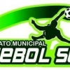 CAMPEONATO MUNICIPAL DE FUTEBOL SETE 
